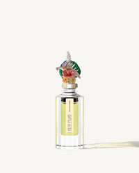 Perfume Signature Petite Enlightened
