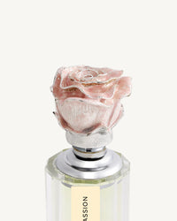 Perfume Signature Petite Passion