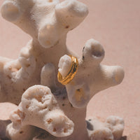 Ring Apollo Stack Set