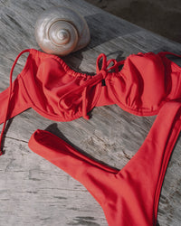 Top Ariel Coral